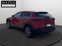 Mazda CX-30 Híbrido 2.0 SKYACTIV-G 90KW EVOLUTION 2WD 5P Segunda Mano en la provincia de Tarragona - TORTOSA img-2