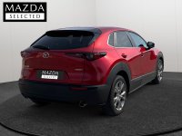 Mazda CX-30 Híbrido 2.0 SKYACTIV-G 90KW EVOLUTION 2WD 5P Segunda Mano en la provincia de Tarragona - TORTOSA img-4
