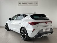 Coches Segunda Mano En Córdoba | Cupra León 1.5 Etsi Dsg 110 Kw (150 Cv)