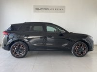 Coches Segunda Mano En Córdoba | Cupra Terramar 1.5 Tsi E-Hybrid Dsg 150 Kw (204 Cv)