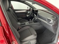 Coches Segunda Mano En Córdoba | Seat León 1.5 Tsi S&S Fr 25 Aniversario 85 Kw (116 Cv)