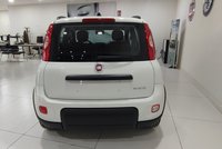 Fiat Panda Gasolina 1.0 Gse 70cv Hybrid City Life Km 0 en la provincia de Albacete - Talleres Chinares img-3