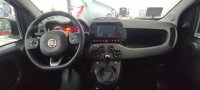 Fiat Panda Gasolina 1.0 Gse 70cv Hybrid City Life Km 0 en la provincia de Albacete - Talleres Chinares img-11