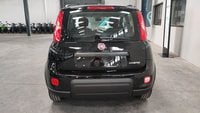 Fiat Panda Gasolina 1.0 Gse 70cv Hybrid City Life Km 0 en la provincia de Albacete - Talleres Chinares img-2