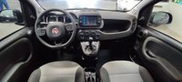 Fiat Panda Cross Gasolina 1.0 Hybrid 70cv City Cross Km 0 en la provincia de Albacete - Talleres Chinares img-9