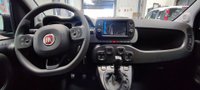 Fiat Panda Cross Gasolina 1.0 Hybrid 70cv City Cross Km 0 en la provincia de Albacete - Talleres Chinares img-10