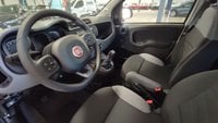 Fiat Panda Gasolina 1.0 Gse 70cv Hybrid City Life Km 0 en la provincia de Albacete - Talleres Chinares img-9
