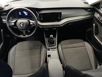 Coches Segunda Mano Škoda Octavia 2.0 Tdi Ambition Plus 85 Kw (115 Cv) En Burgos