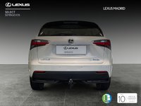 Lexus NX Híbrido 300h executive tecno 4wd 145 kw (197 cv) Segunda Mano en la provincia de Madrid - Lexus Madrid Norte img-3