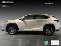 Lexus NX Híbrido 300h executive tecno 4wd 145 kw (197 cv) Segunda Mano en la provincia de Madrid - Lexus Madrid Norte img-2