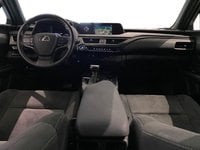 Lexus UX Híbrido 250h business navigation 2wd 135 kw (184 cv) Segunda Mano en la provincia de Madrid - Lexus Madrid Norte img-7