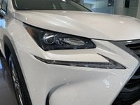 Lexus NX Híbrido 300h executive tecno 4wd 145 kw (197 cv) Segunda Mano en la provincia de Madrid - Lexus Madrid Norte img-6