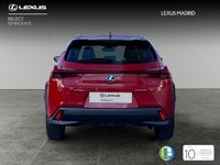 Lexus UX Híbrido 250h business navigation 2wd 135 kw (184 cv) Segunda Mano en la provincia de Madrid - Lexus Madrid Norte img-3