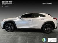 Lexus UX Híbrido 250h business navigation 2wd 135 kw (184 cv) Segunda Mano en la provincia de Madrid - Lexus Madrid Norte img-2