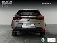 Lexus UX Híbrido 250h business 2wd 135 kw (184 cv) Segunda Mano en la provincia de Madrid - Lexus Madrid Norte img-3