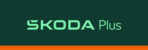 Coches Segunda Mano En Córdoba | Škoda Kamiq 1.0 Tsi Selection 85 Kw (115 Cv)