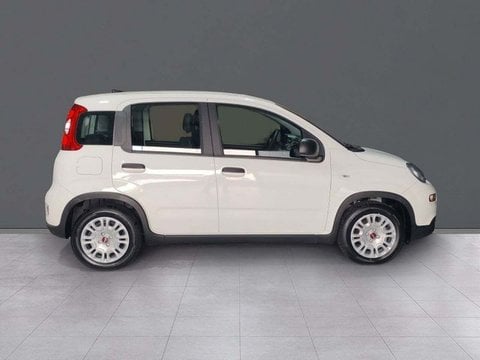 Coches Km0 En La Coruña | Fiat Panda 1.0 Hybrid 51Kw (70Cv)