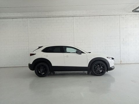 Coches Km0 En Almeria | Mazda Cx-30 Cx30 2.5L E-Skyactiv G Mhev 103Kw 140Cv 6At Fwd Homura