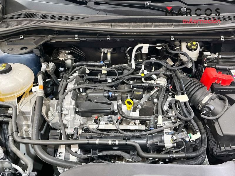 Ford Kuga Gasolina 1.5 EcoBoost ST-Line X FWD 150 Seminuevo en la provincia de Alicante - Mundicar S.A.U (Crta. Ocaña- Alicante) img-14